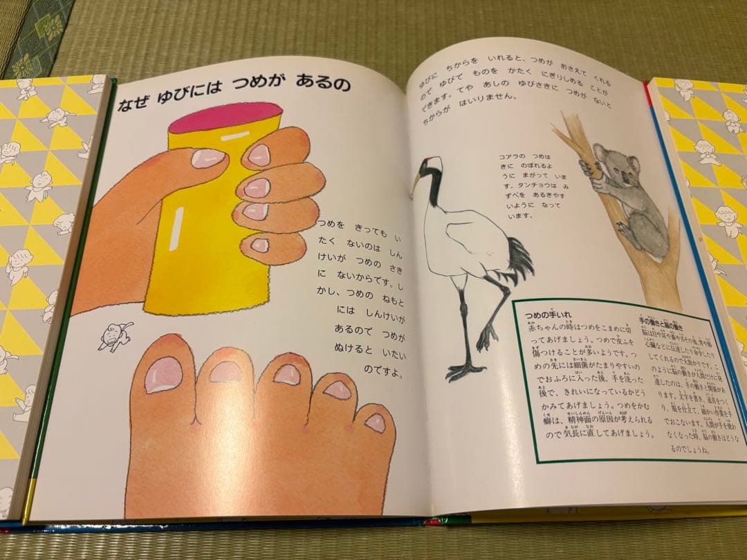 【美品】家庭保育園　なぜなにブック　全22巻セット