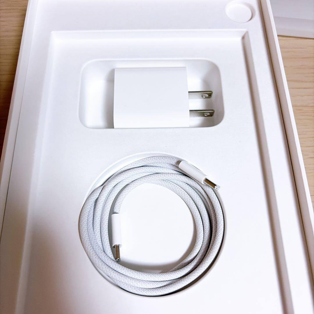 美品 Apple iPad mini (A17 Pro) 128GB パープル