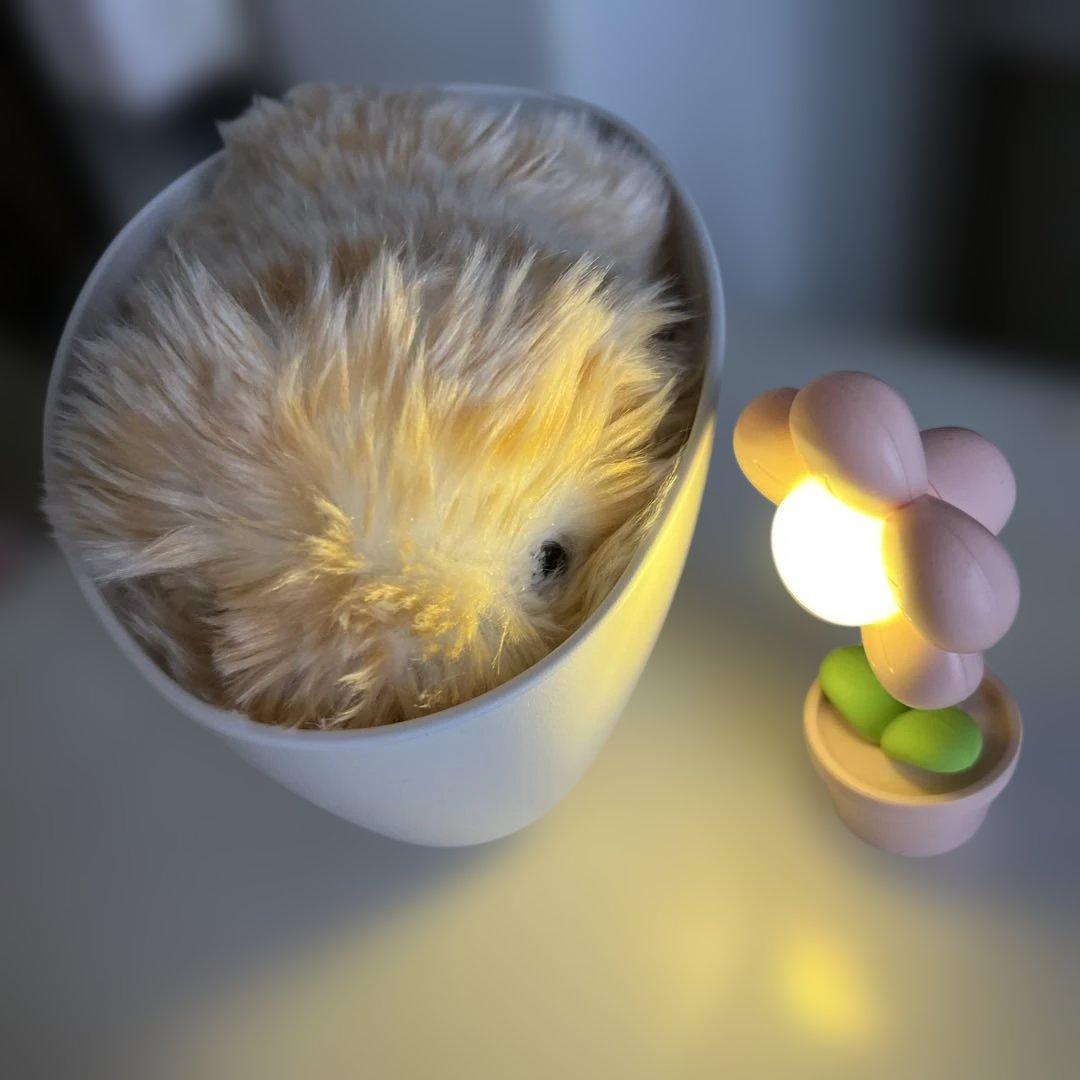 AIペット モフリン ゴールド 可愛いお花ライトのおまけ付き