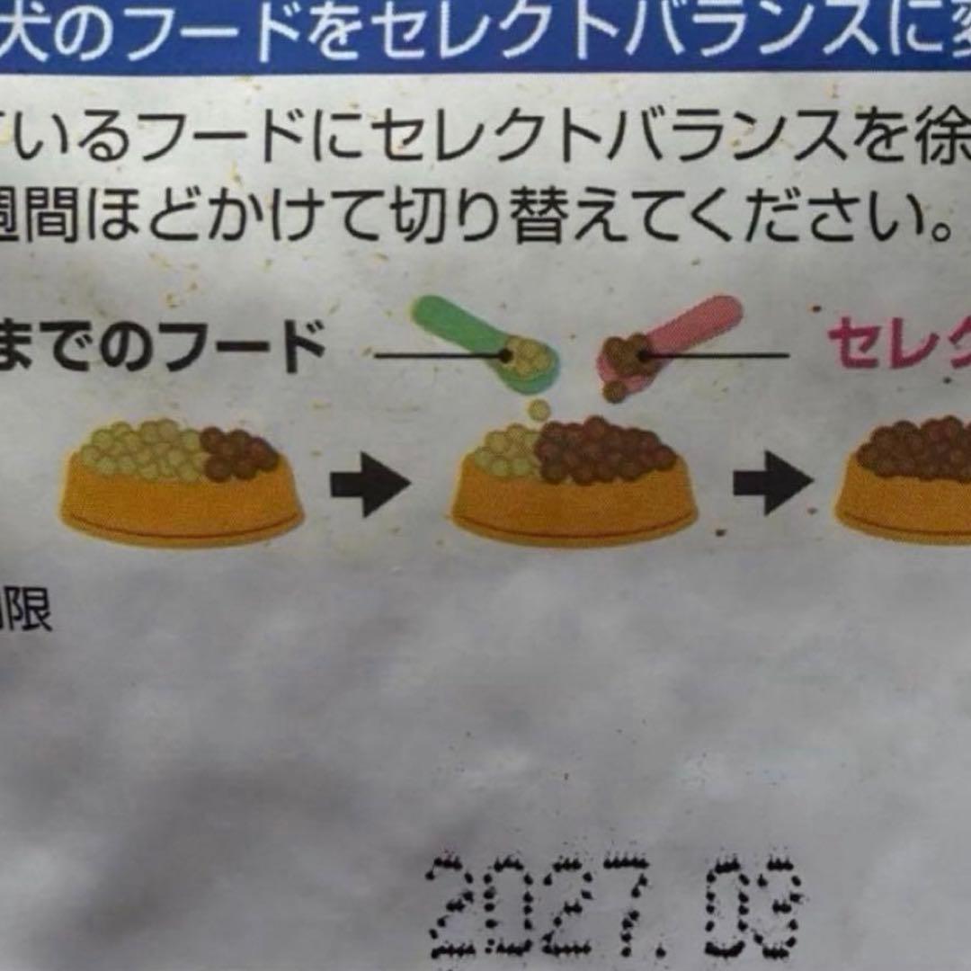 パピーチキン3kg×2個