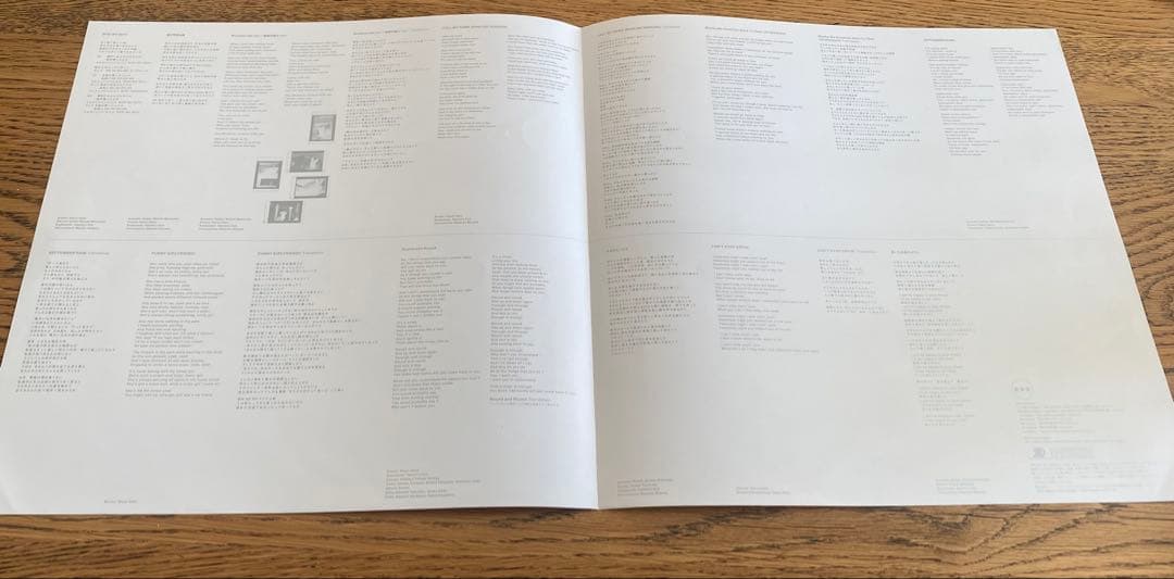the brilliant green LPレコード2枚セット