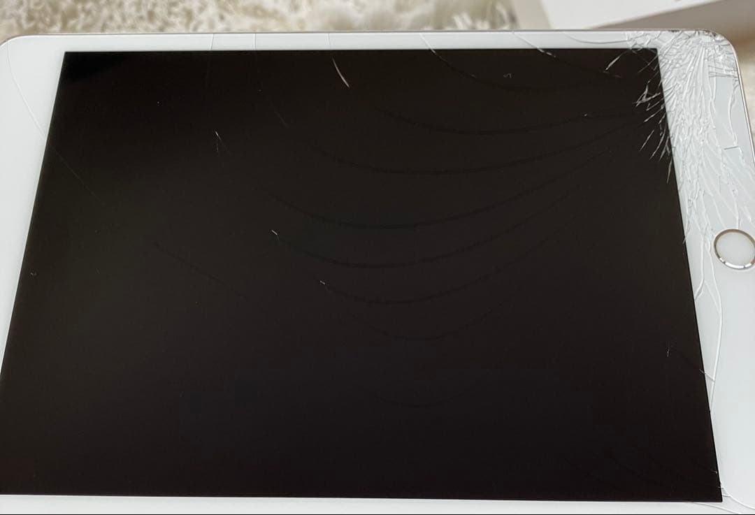 【完動品】iPad mini5 64GB SIMフリー 【すぐ発送】