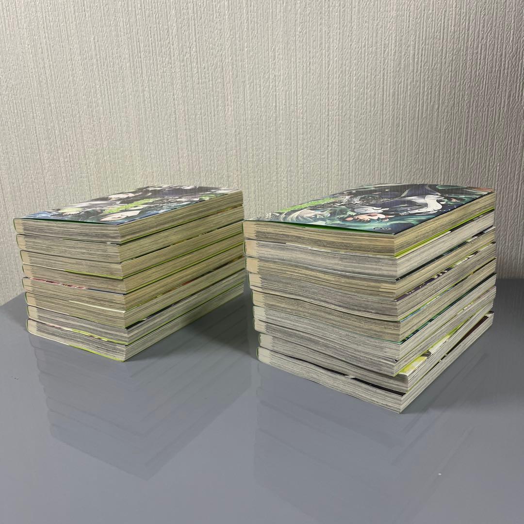 治癒魔法の間違った使い方 全巻