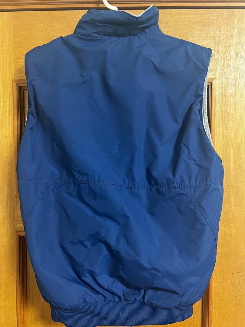 Patagonia パタゴニア ベスト Sサイズ