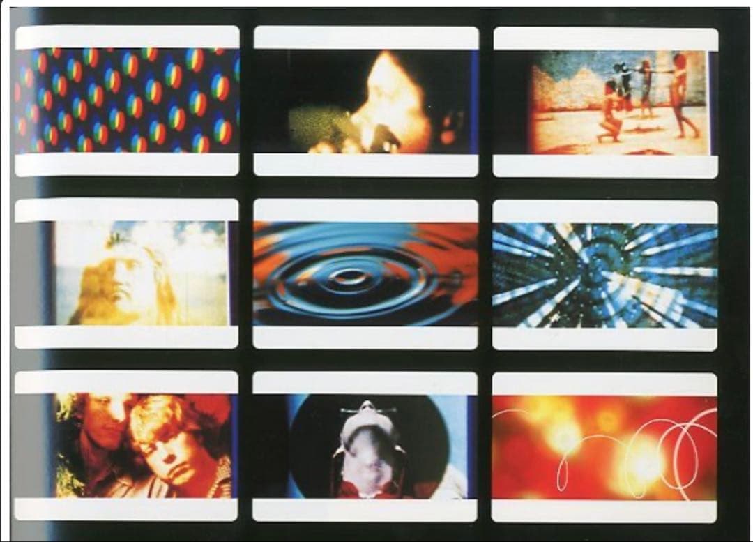 【希少】derek jarman’s garden デレクジャーマンの庭