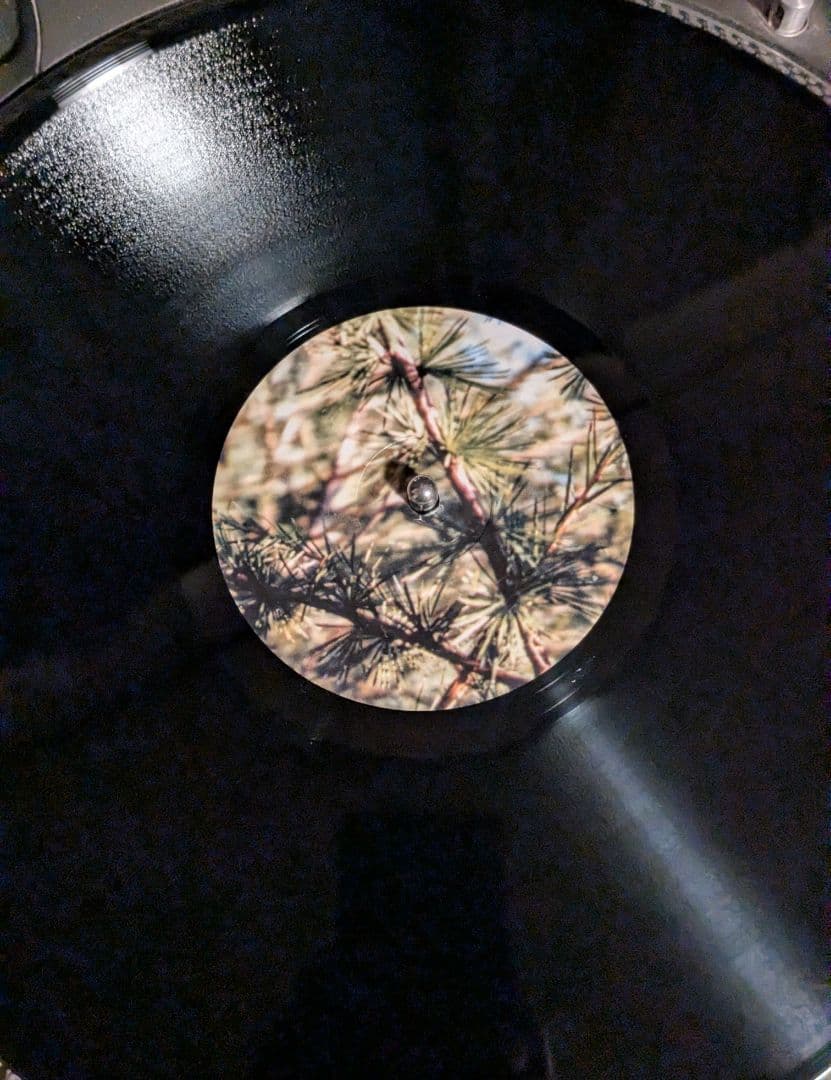 GAS / POP /オリジナル盤　2LP
