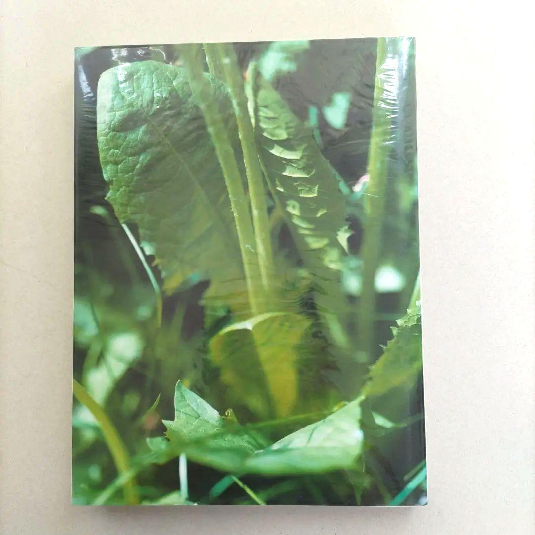 thomas struth:Dandelion Room/写真集 作品集 洋書