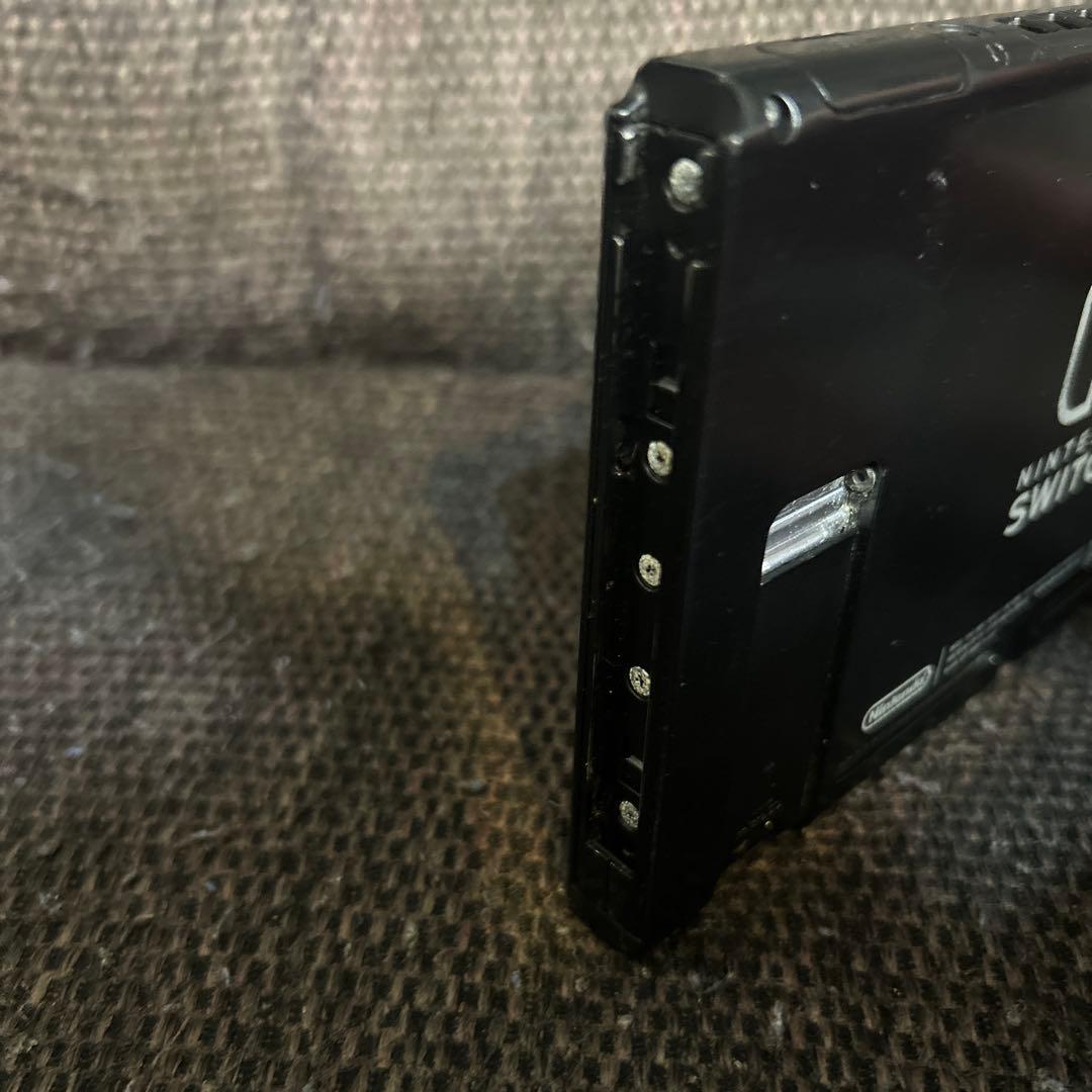 Nintendo Switch 本体　ドッグ付き