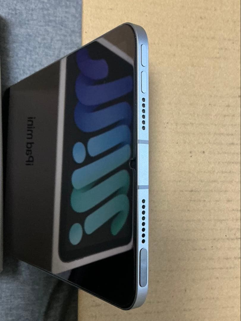 iPad mini A17 Pro Cellularモデル 128GB
