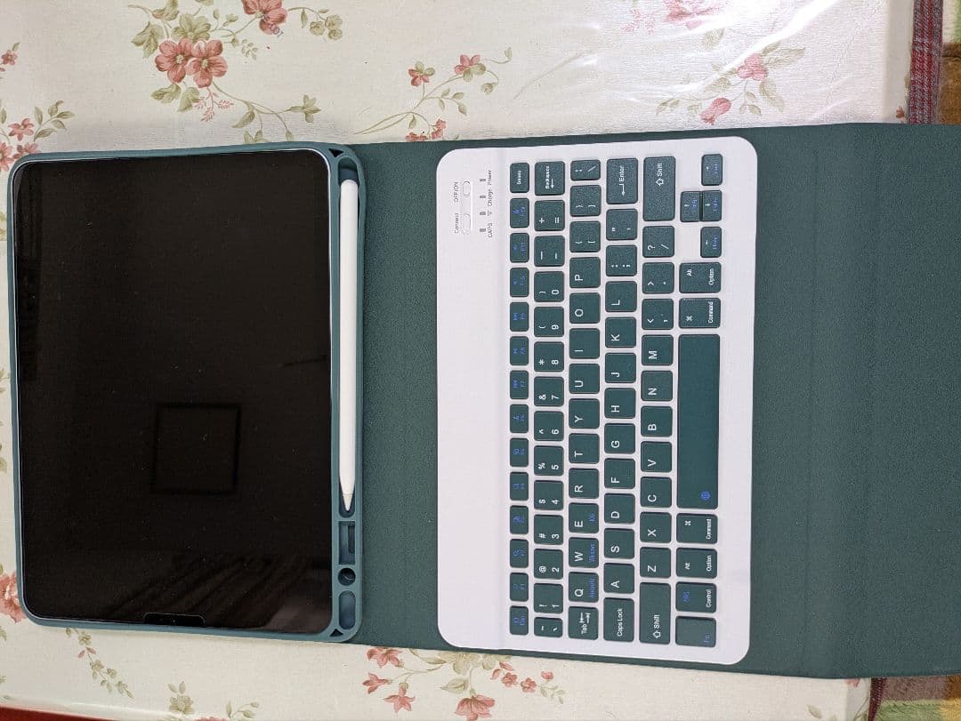 iPad Pro 11インチ(第1世代) Wi-Fi + Cellular