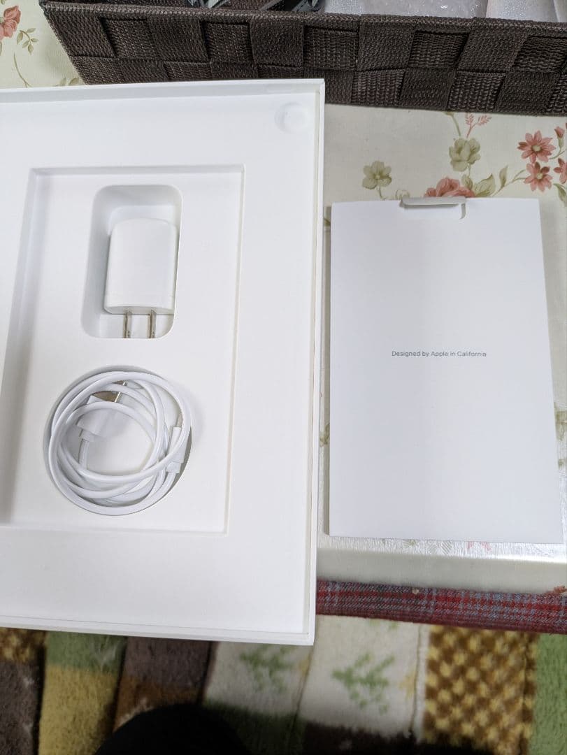 iPad Pro 11インチ(第1世代) Wi-Fi + Cellular