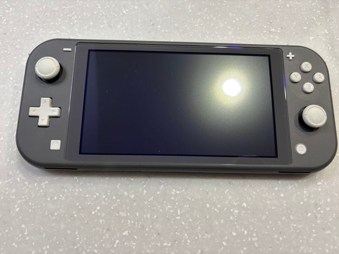 Nintendo Switch ライトグレー