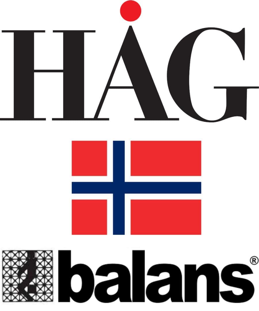 ランバーサポート付でストレートネック対策！ 北欧デザインHAGバランスチェア！