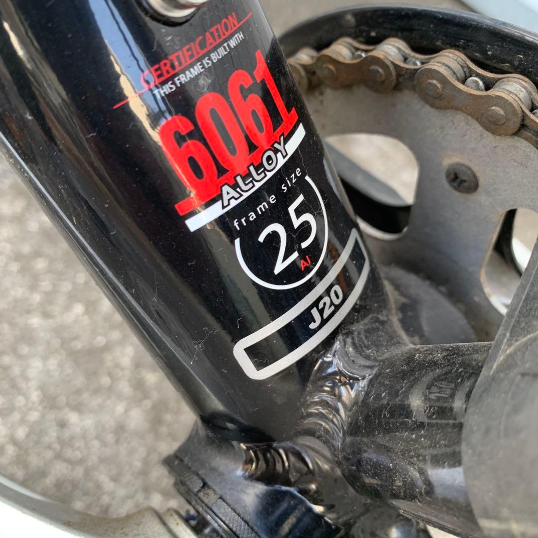 専用引取限定 LOUIS GARNEAU ジュニア20インチ マウンテンバイク