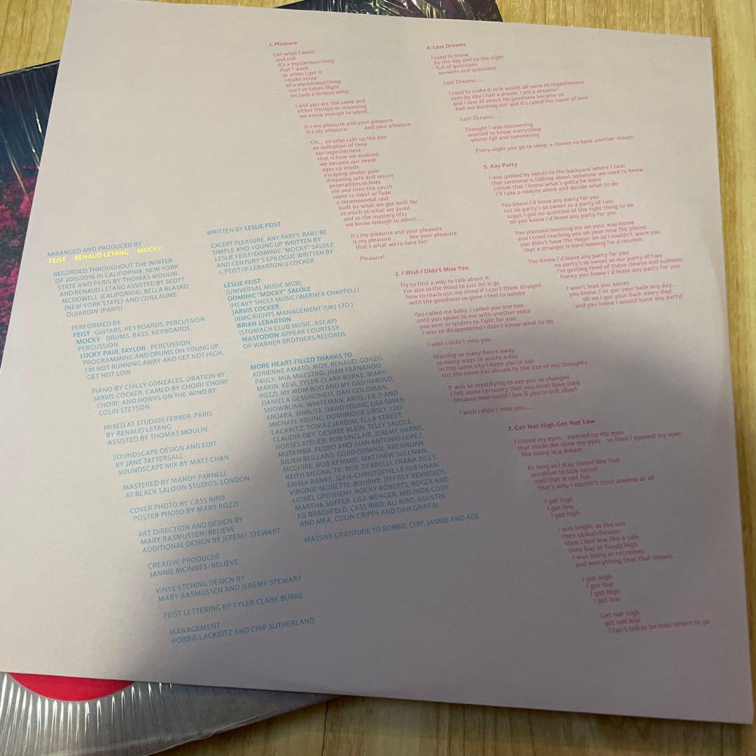 FEIST / PLEASURE 限定アナログ SSW ギターポップ