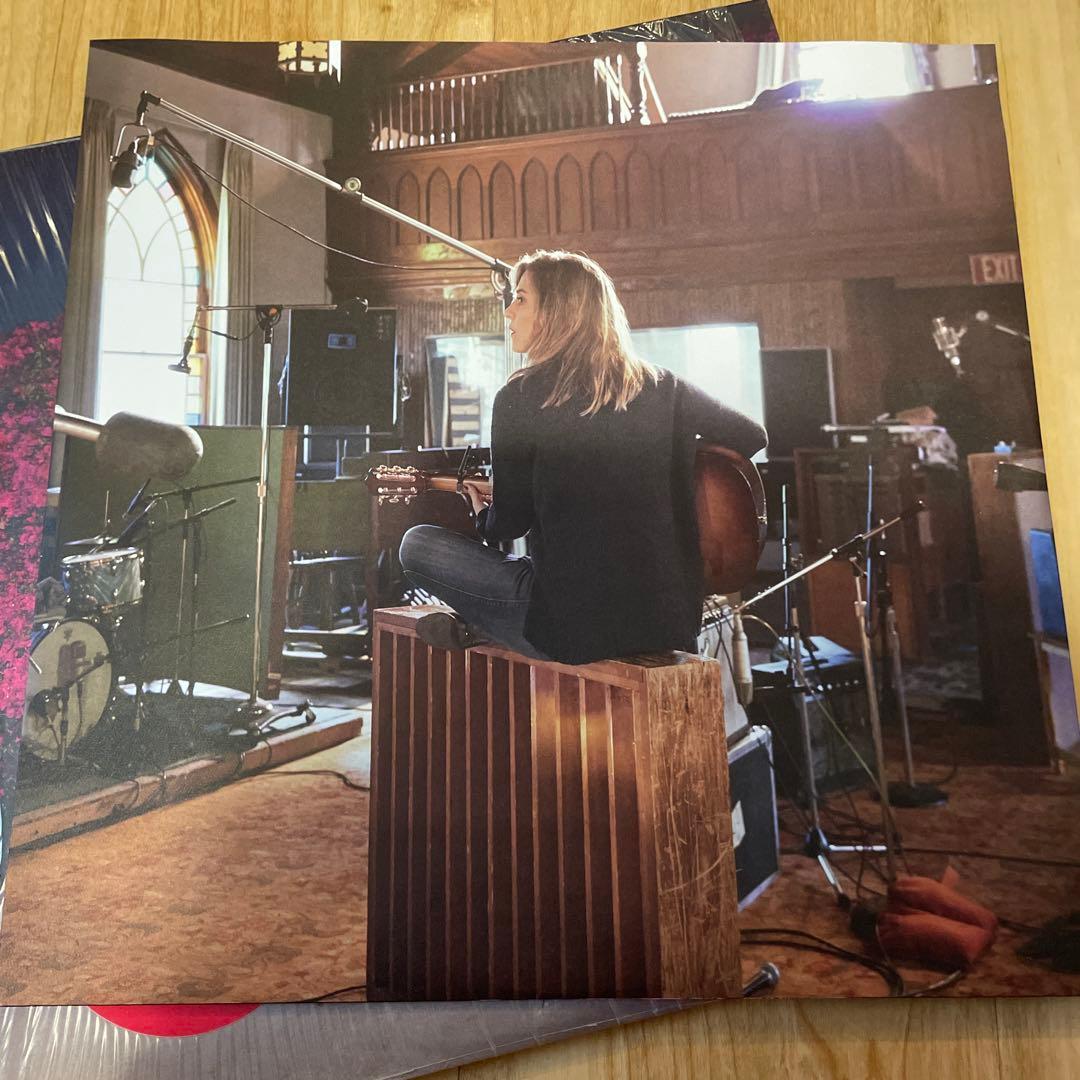 FEIST / PLEASURE 限定アナログ SSW ギターポップ