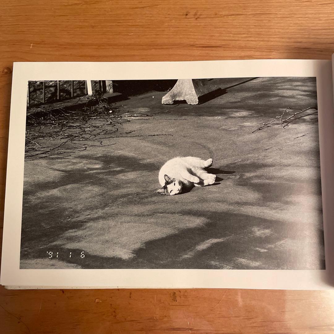 荒木経惟　写狂人日記