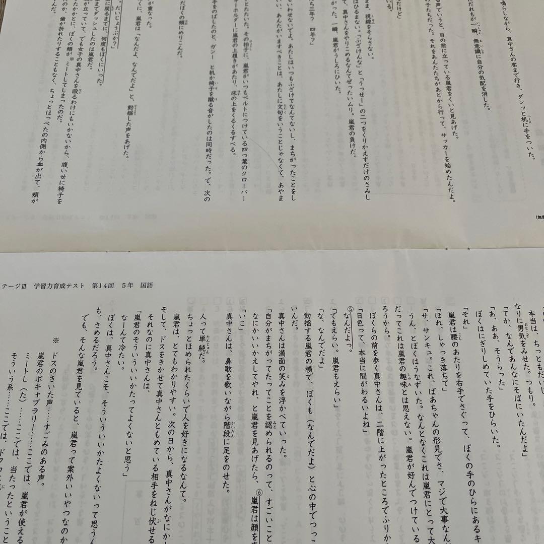 2025年❗️日能研 5年 ステージⅢ育成テスト13回14回15回