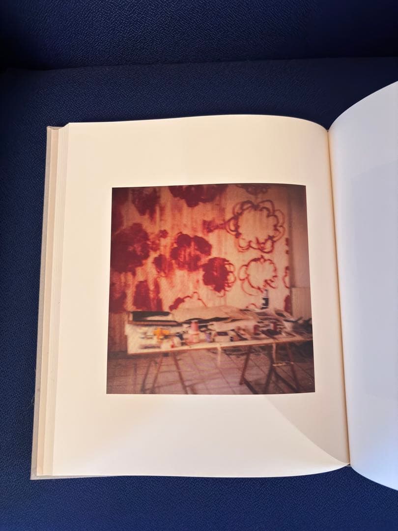アート・デザイン・音楽 Cy Twombly Photographs:
