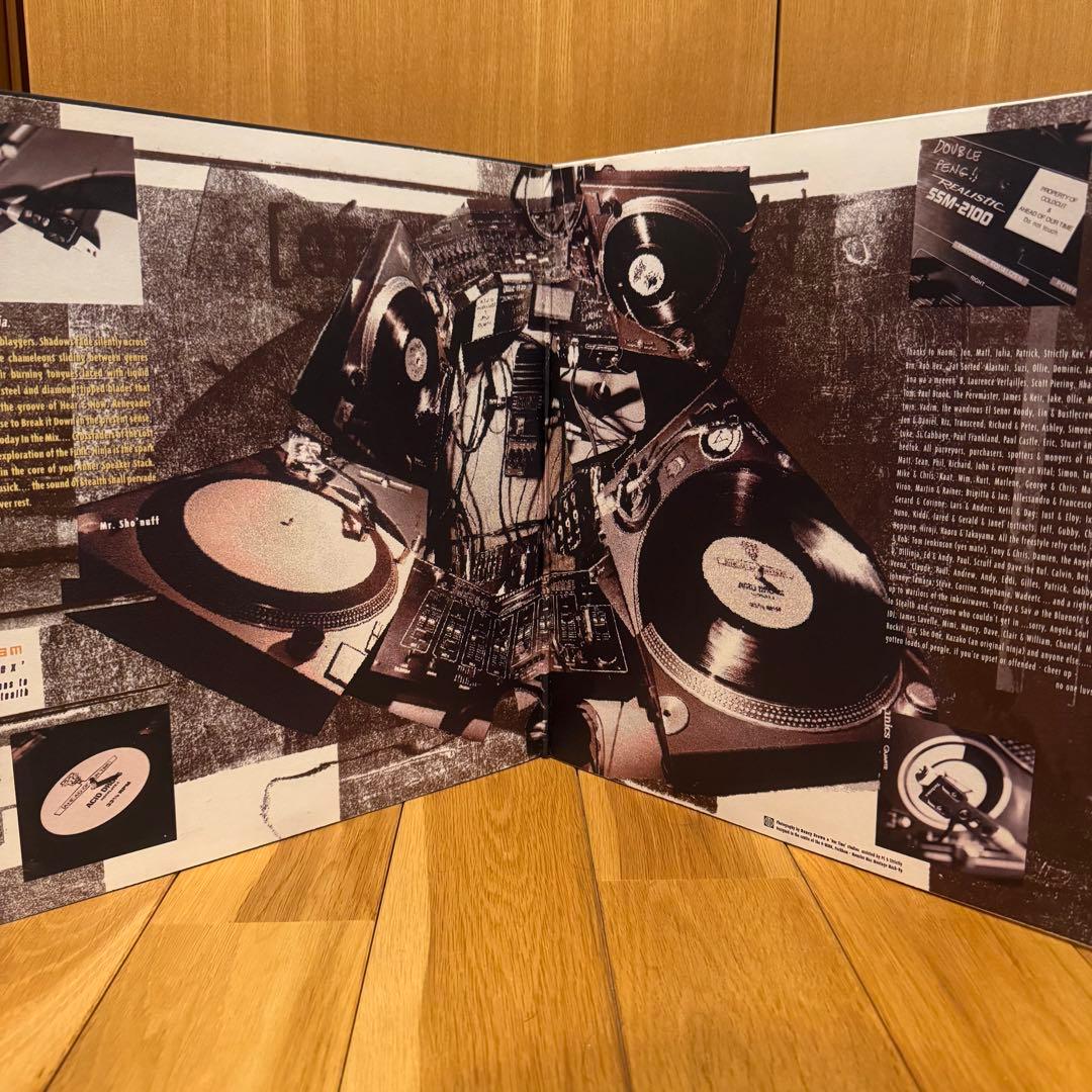 洋楽 NINJA CUTS: flexistentialism 3LP