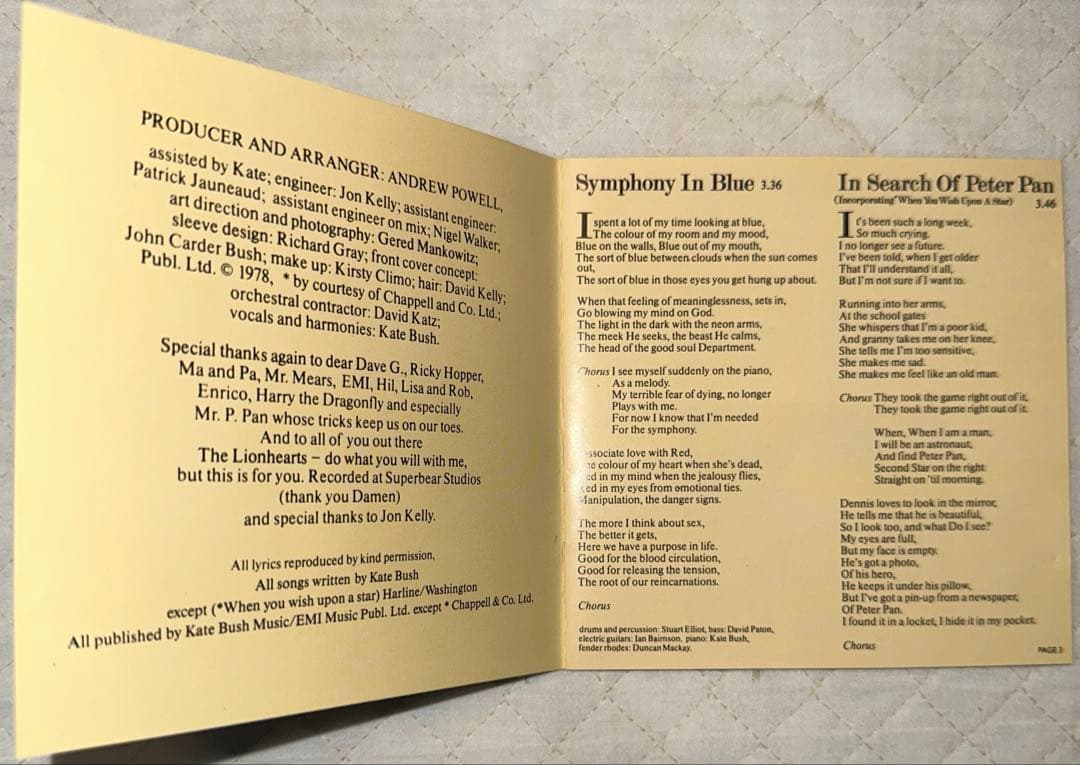 UK盤！KATE BUSH / ケイト・ブッシュ / LIONHEART