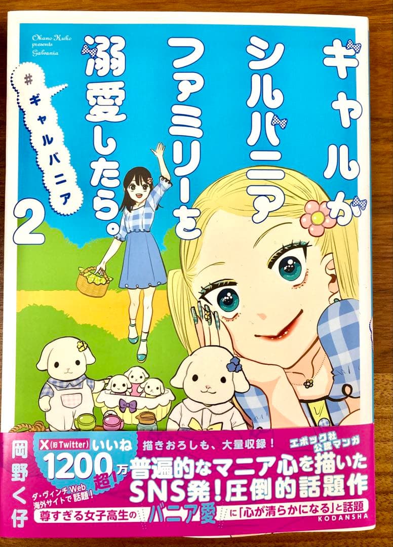 ギャルがシルバニアファミリーを溺愛したら　全巻セット