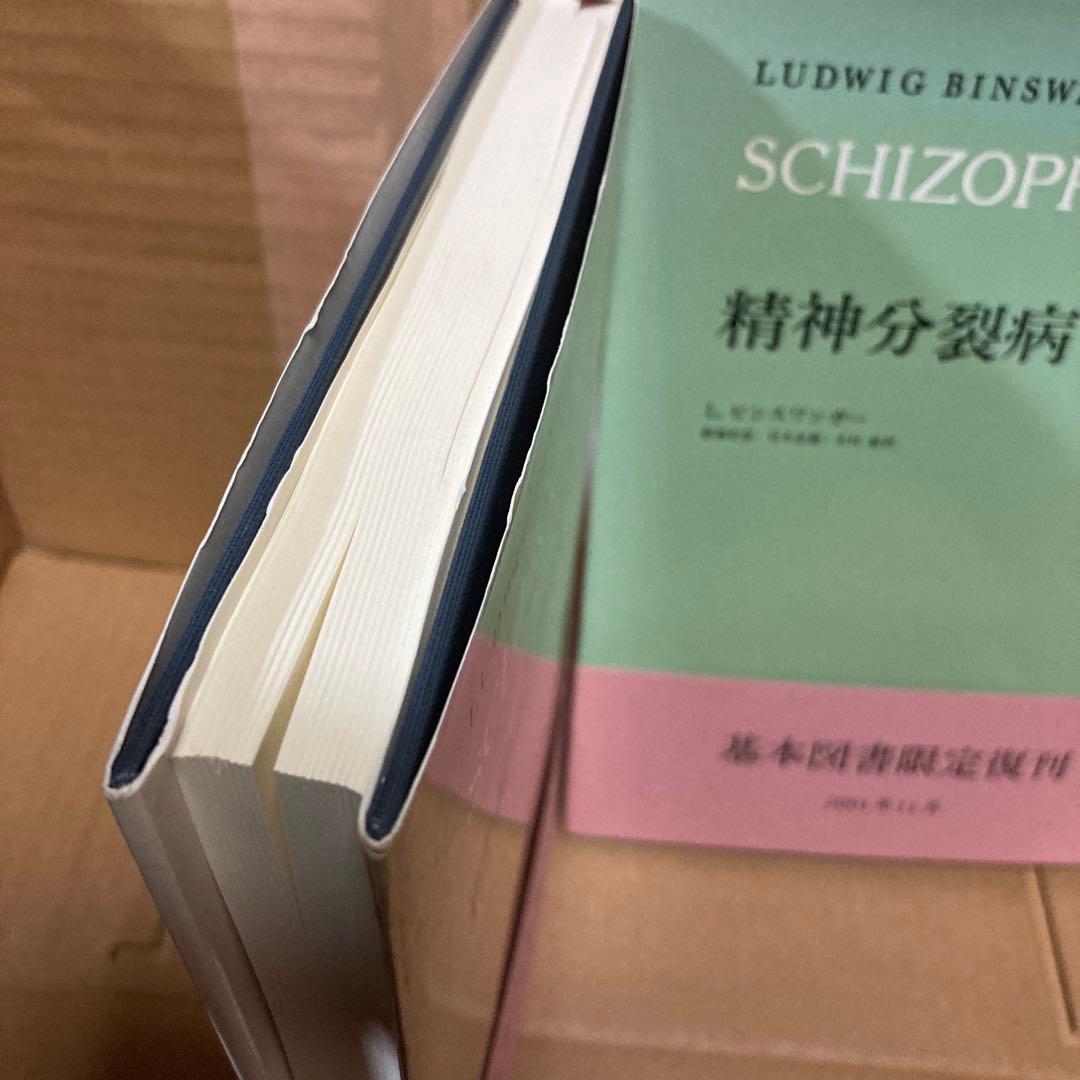 精神分裂症　1と2 Ｌ．ビンスワンガー