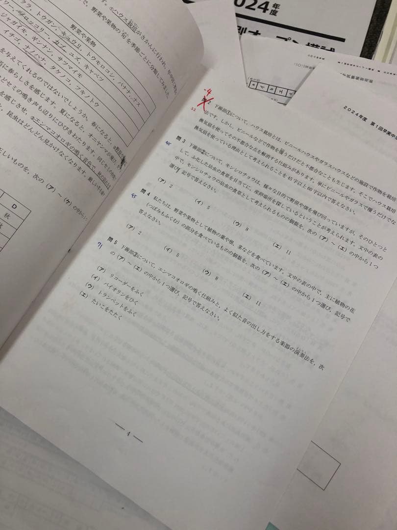 早稲田アカデミー　オープン模試/合格判定　早稲田実業中　計7回　2025年受験