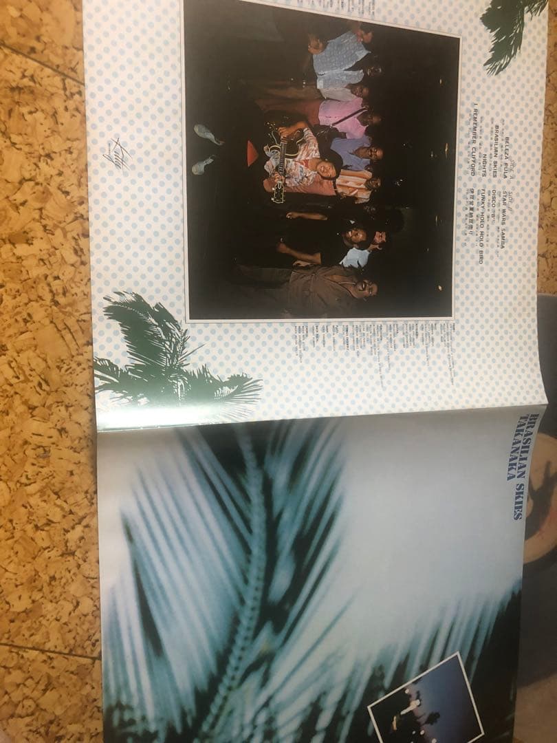 邦楽 BRASILIAN SKIES TAKANAKA LP