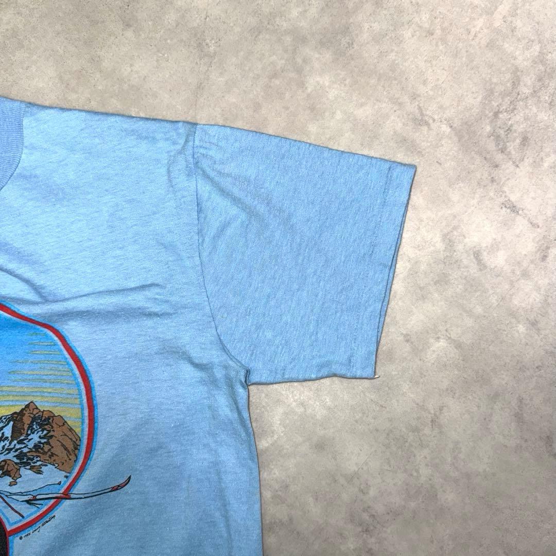 80s Hanes THE NORTH FACE Tシャツ　コピーライト　激レア