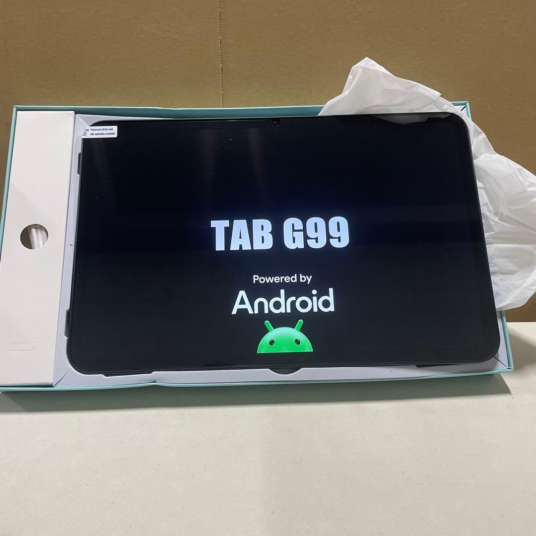 タブレット 13インチ Wi-Fiモデル24GB+256GB