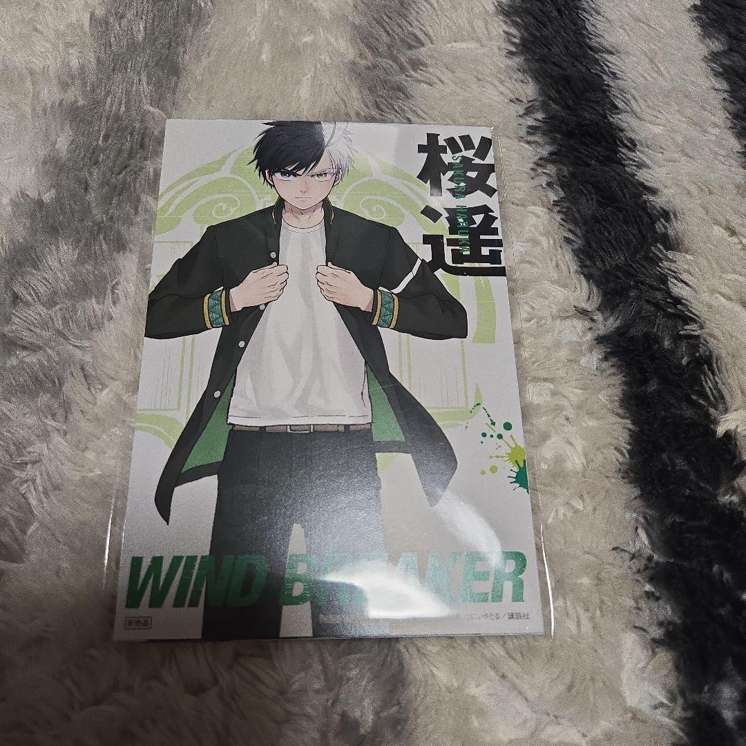 ￡WIND BREAKER　ウィンドブレイカー　1～24巻　初版・特典付き￡