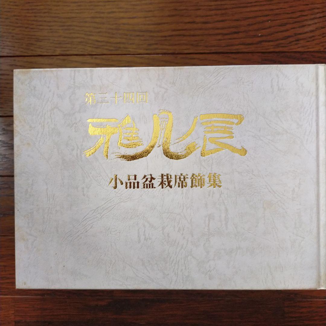 雅風展