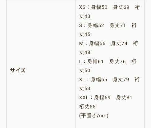 【美品】パタゴニア キャプリーンクールデイリーグラフィックシャツ Lサイズ