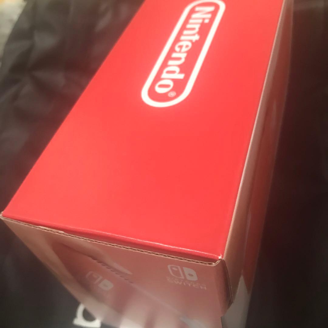 N.SWITCH LITE コーラル