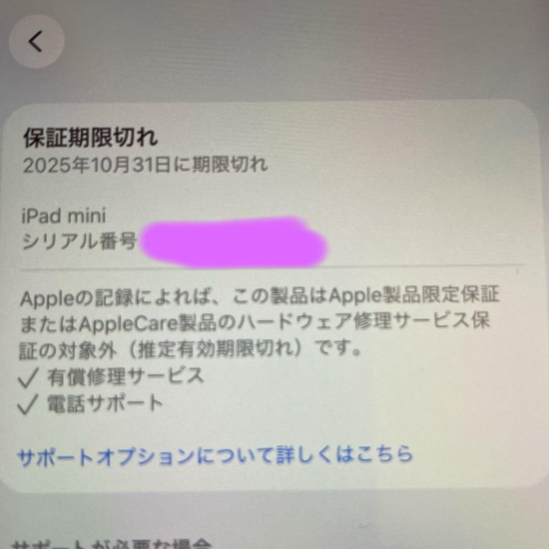 おまけ付iPad mini第7世代256GB Wi-Fi100%バッテリー