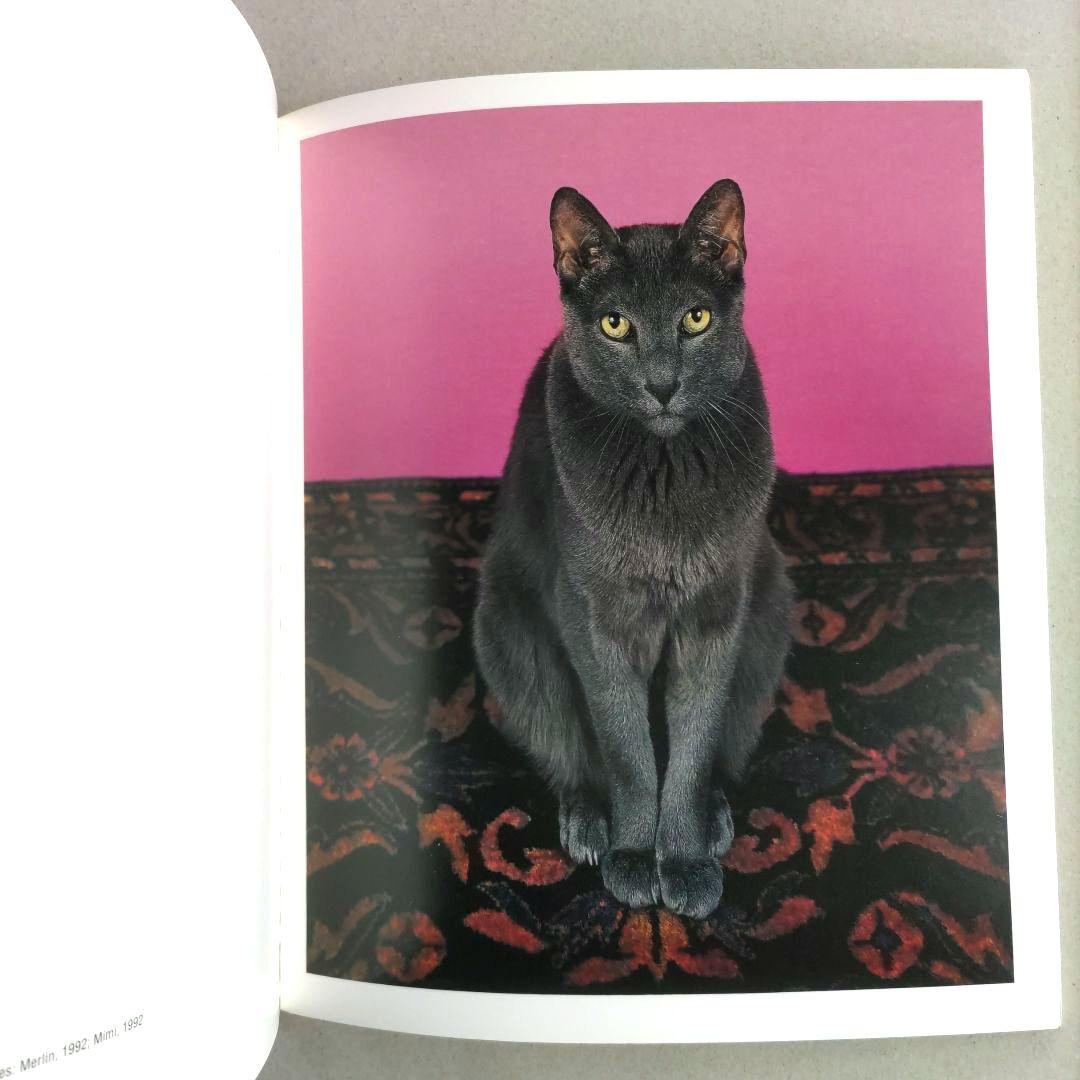 Everyday Things:Neil Winokur/写真集 作品集 洋書