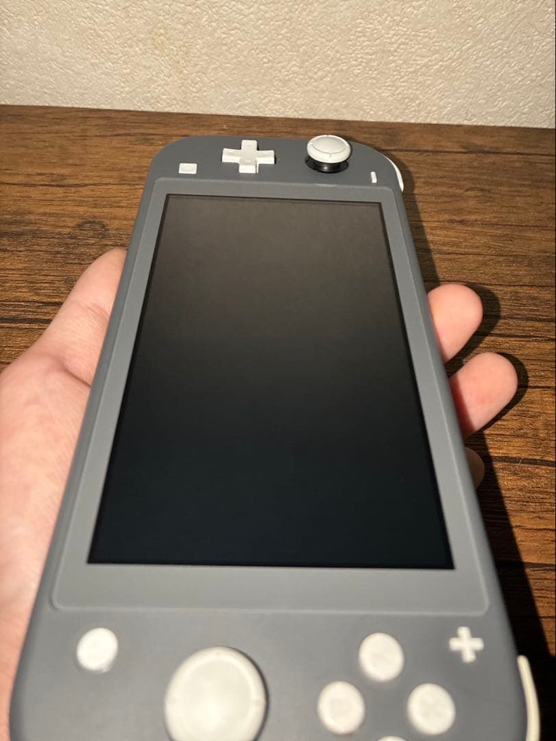 Nintendo Switch Lite グレー（microSD・ケース付）