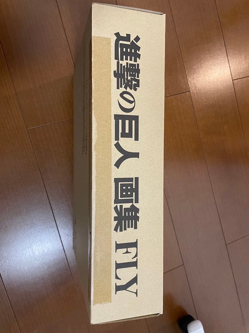 【新品】進撃の巨人 画集 FLY(全特典付き)u