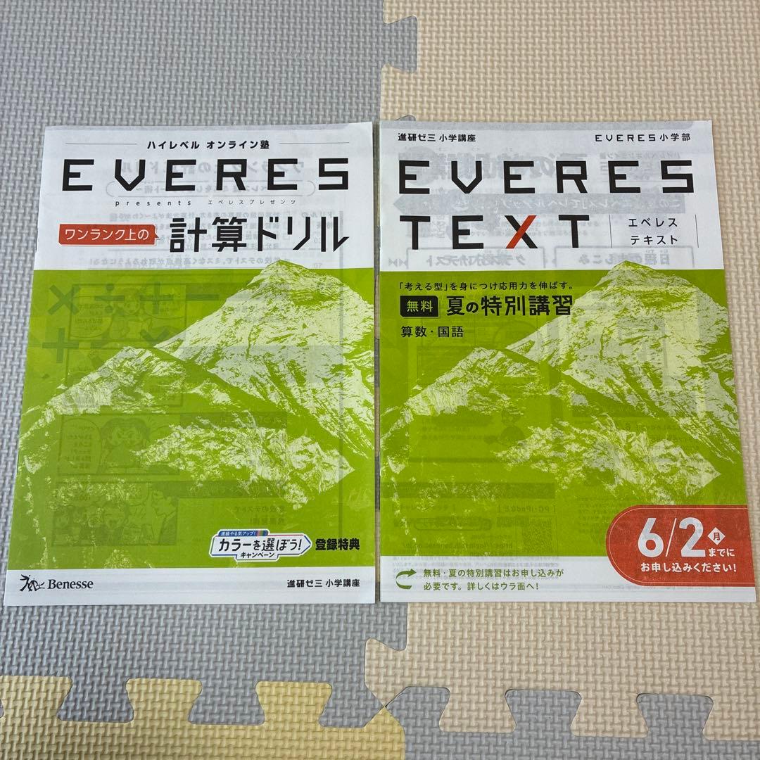 進研ゼミ　小学講座　チャレンジ５年生　2025年度　１年分　国語算数理科社会英語