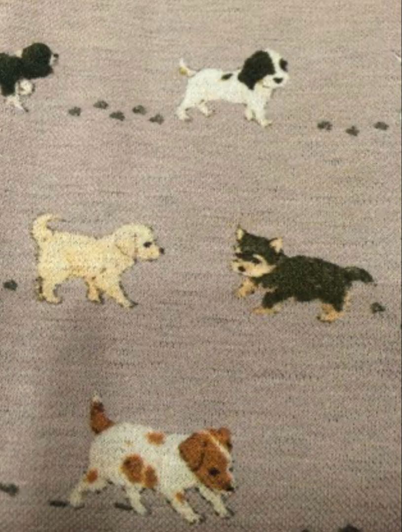 【期間限定】フランシュリッペfl5 犬の行進ワンピース　ブラック