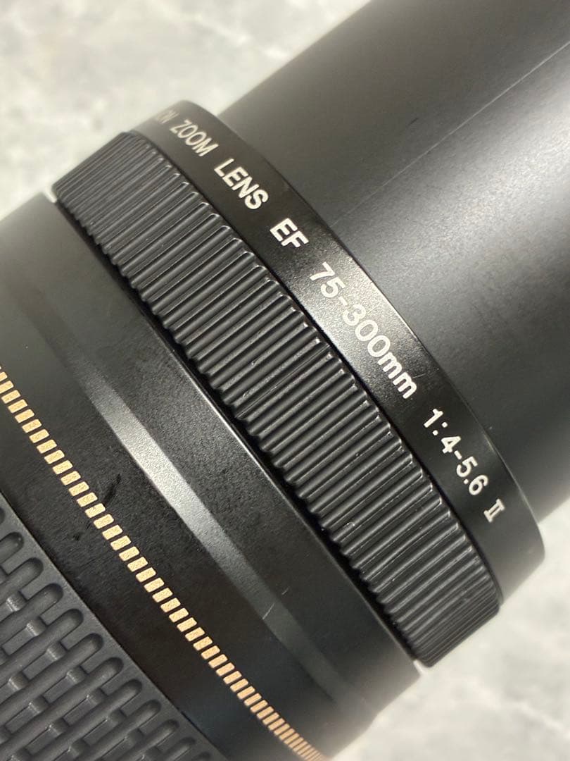⭐️美品⭐️Canon EF 75-300mm F/4-5.6 II USM