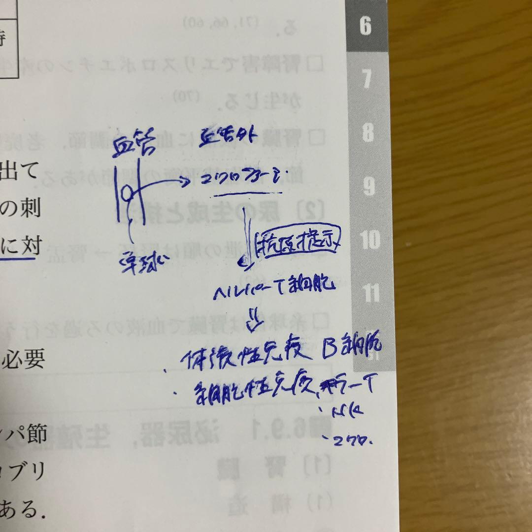 2026年版 診療放射線技師国家試験 合格!Myテキスト ―過去問データベース…