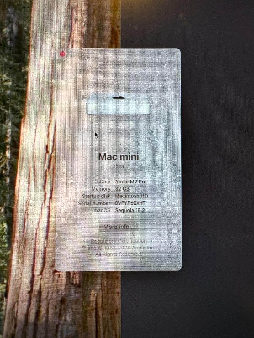 Mac mini 2023 M2 Pro 32GB 512GB 初期化済み
