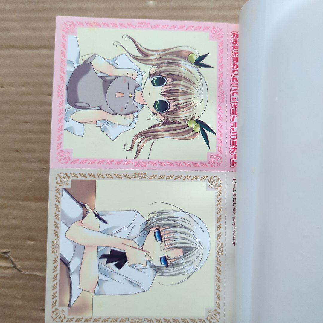 確認画像　かみちゃまかりん