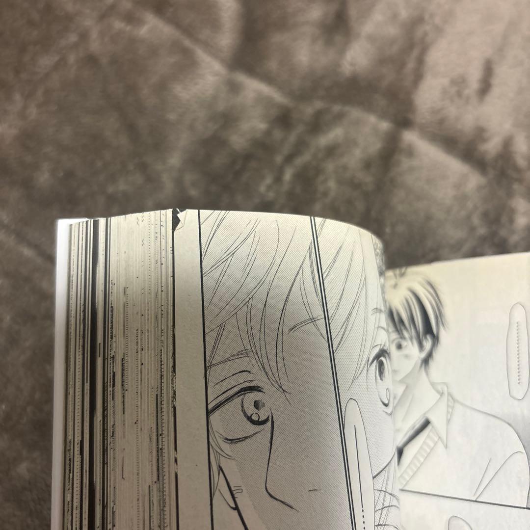 君に届け 全巻 1-30巻 ＋ 運命の人 1-3巻 椎名軽穂 アニメ化 ドラマ
