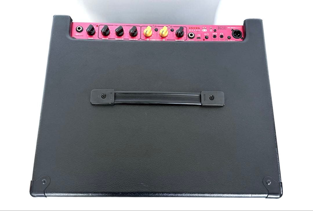 【美品】TC ELECTORONIC BG250-210 ベース用コンボアンプ