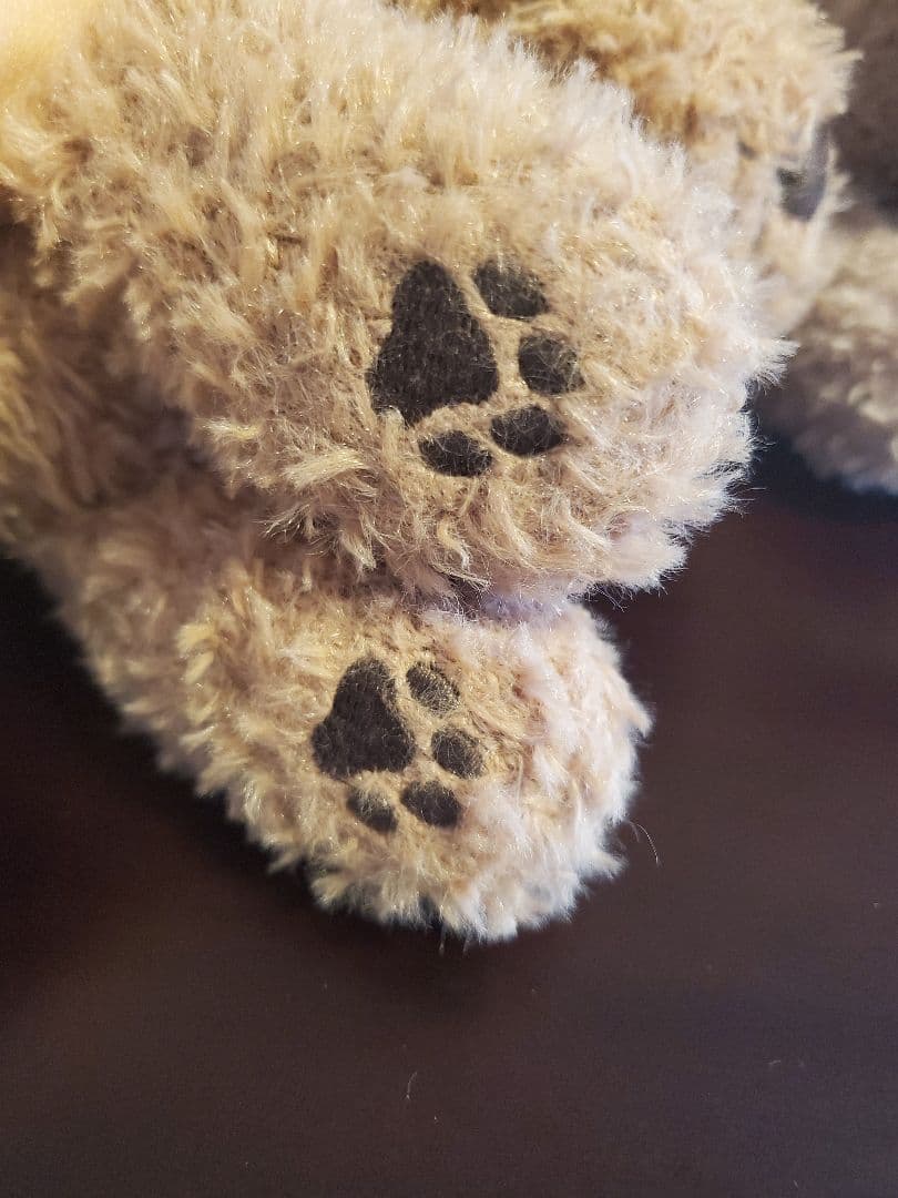 ジェラートピケ　トイプードル　ぬいぐるみ　2匹セット　かわいい