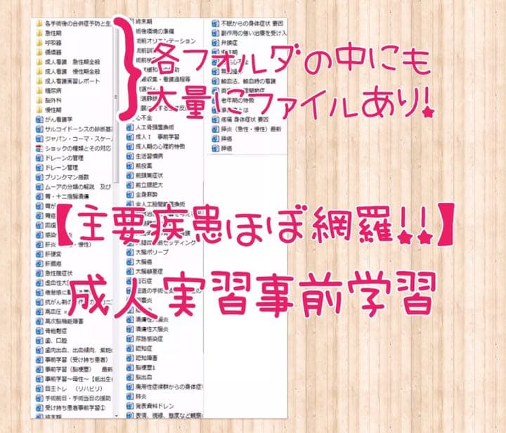 看護実習 看護学生 国家試験 レポート 看護過程  関連図 手順書 パンフレット