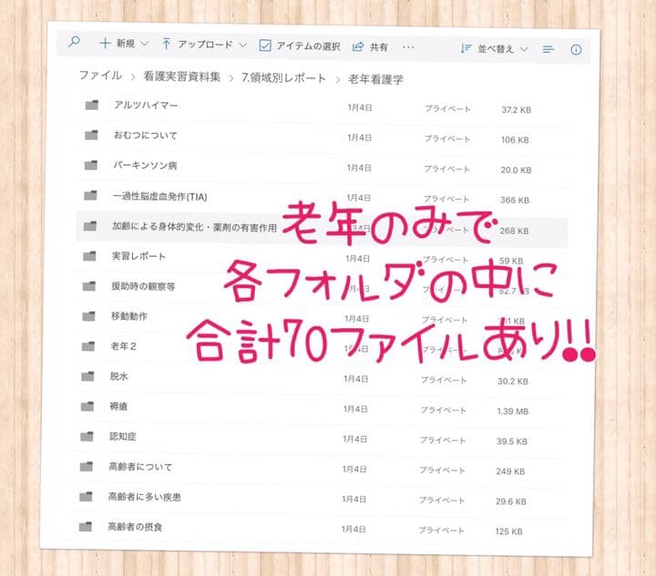 看護実習 看護学生 国家試験 レポート 看護過程  関連図 手順書 パンフレット